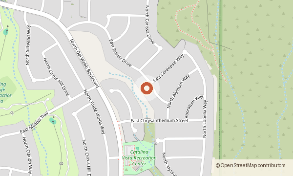 Map showing 2260 E. Ruellia Drive